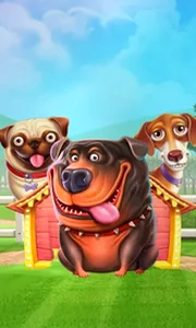 The Dog House