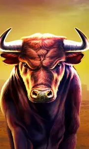 Black Bull